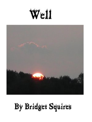 cover image of Well